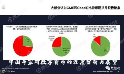 中国专家对数字货币的深度分析与展望