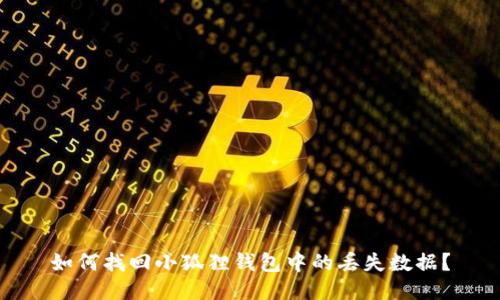 如何找回小狐狸钱包中的丢失数据？