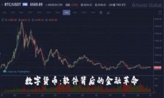 数字货币：软件背后的金