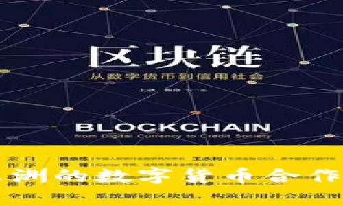 中国与非洲的数字货币合作前景分析