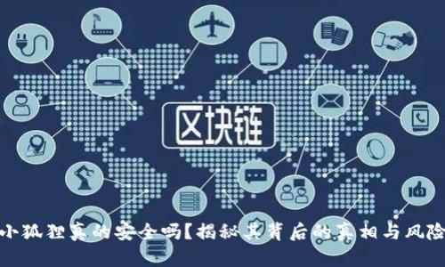 小狐狸真的安全吗？揭秘其背后的真相与风险