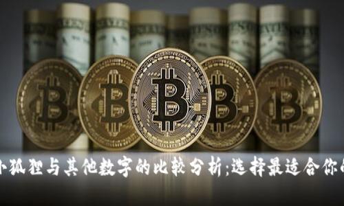 小狐狸与其他数字的比较分析：选择最适合你的