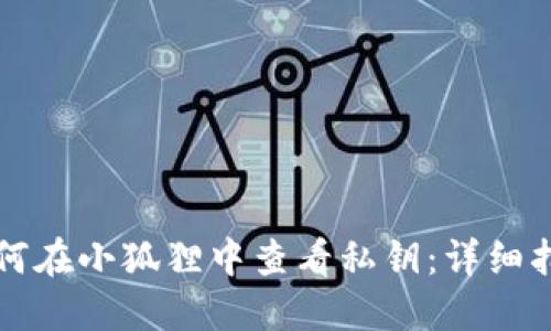 如何在小狐狸中查看私钥：详细指南